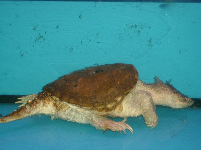 Ксения Калмыкова | Москва