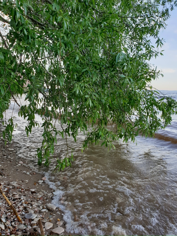 Ксения Рыбина | Казань