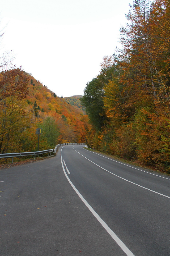 Екатерина Казьмина | Майкоп