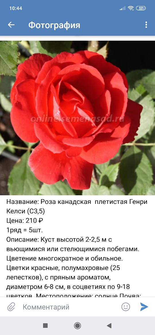 Наталия Митрофанова | Чебоксары