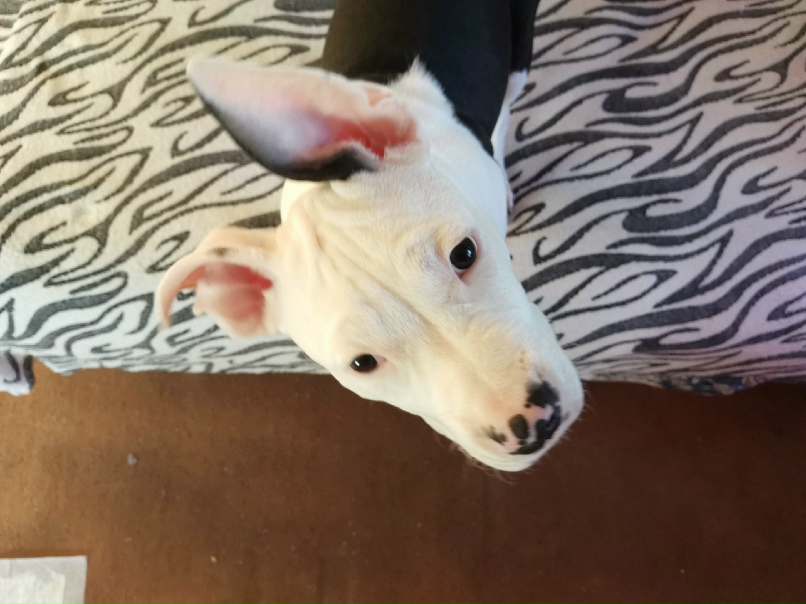 Ольга Гузенко | Москва