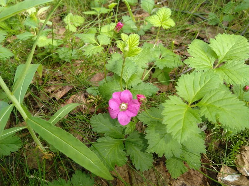 Марина Кондратенко | Усинск
