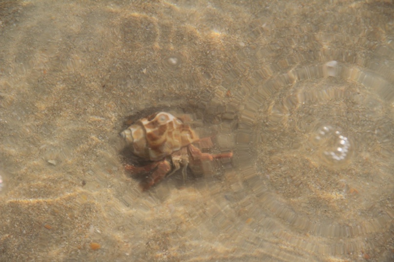 Елена Мовчан | Чебоксары