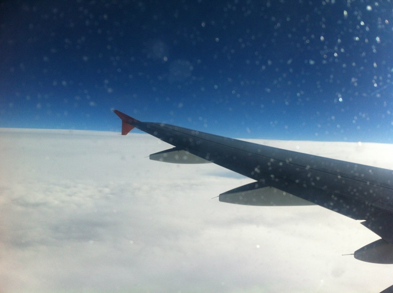 Ольга Заборских | Санкт-Петербург