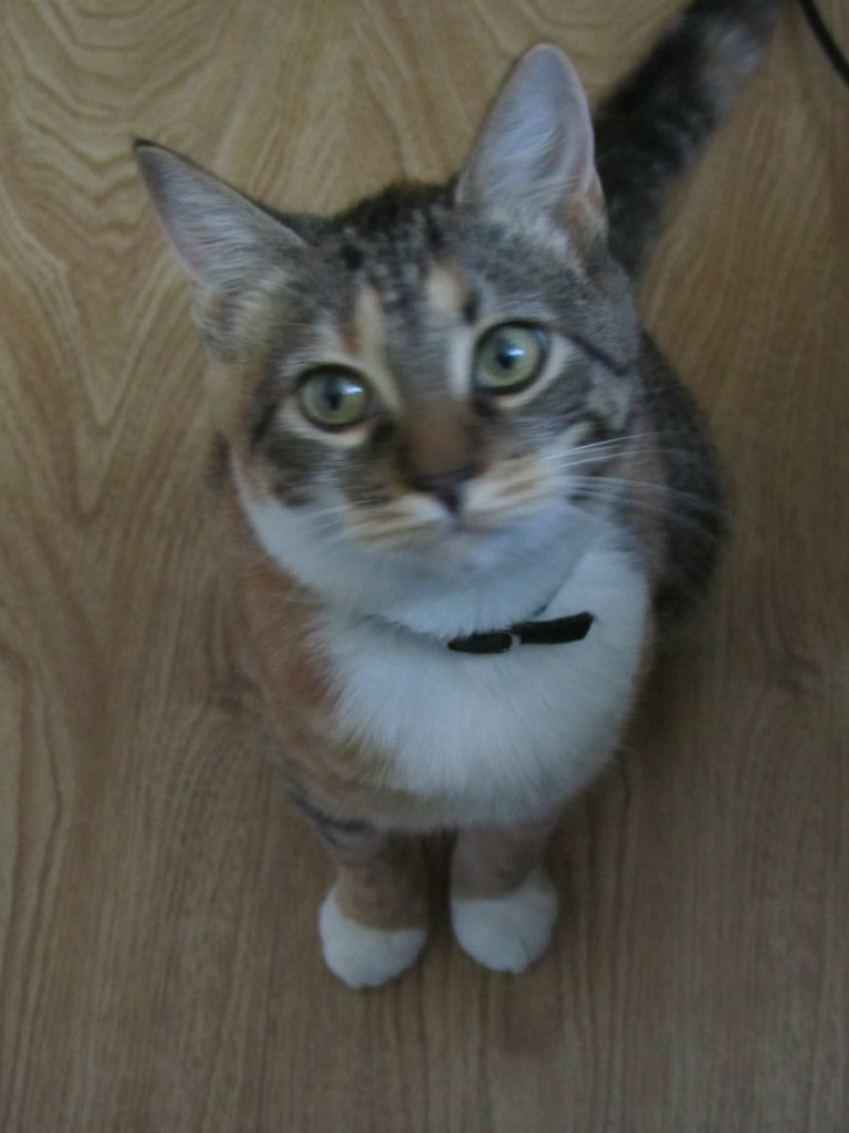 Сергей Быстров | Санкт-Петербург