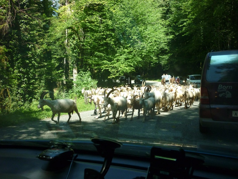 Андрей Юдин | Тольятти