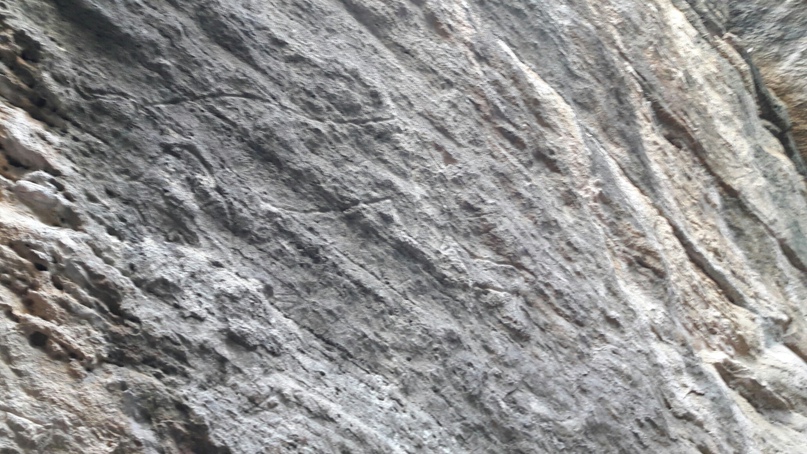 Андрей Донченко | Москва