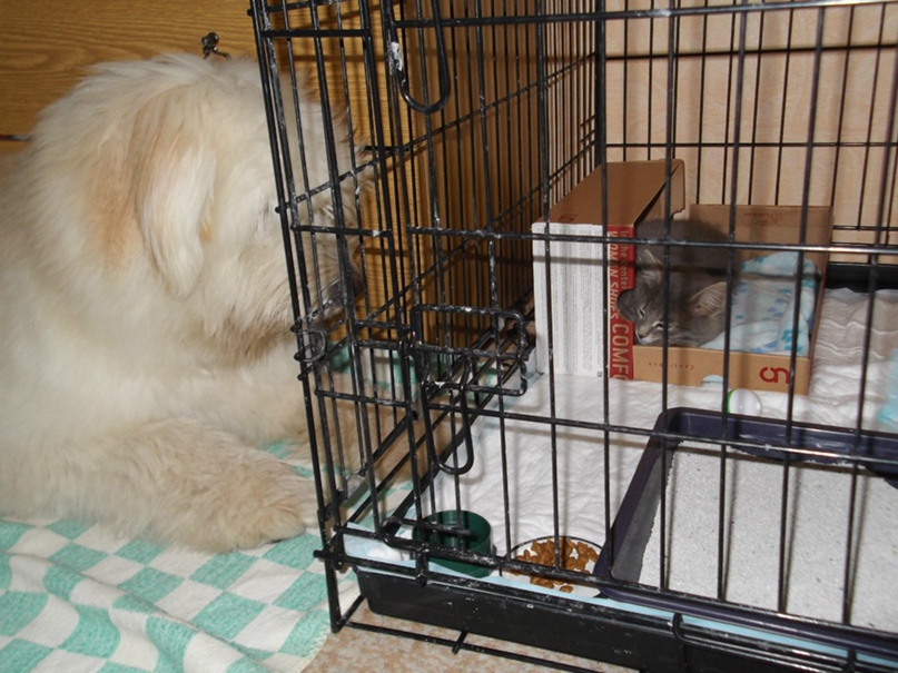 Ксюша Орлова | Обнинск