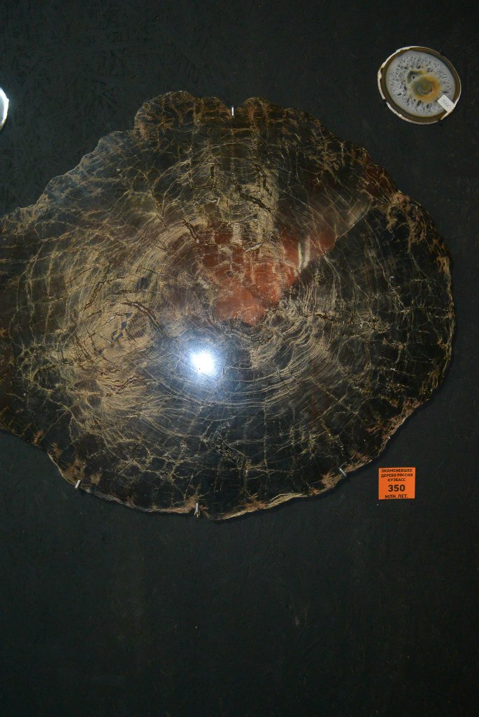 Марина Костенко | Москва