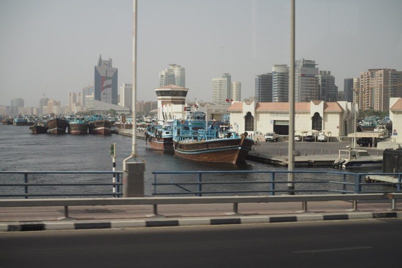 Елена Колосовская | Воронеж