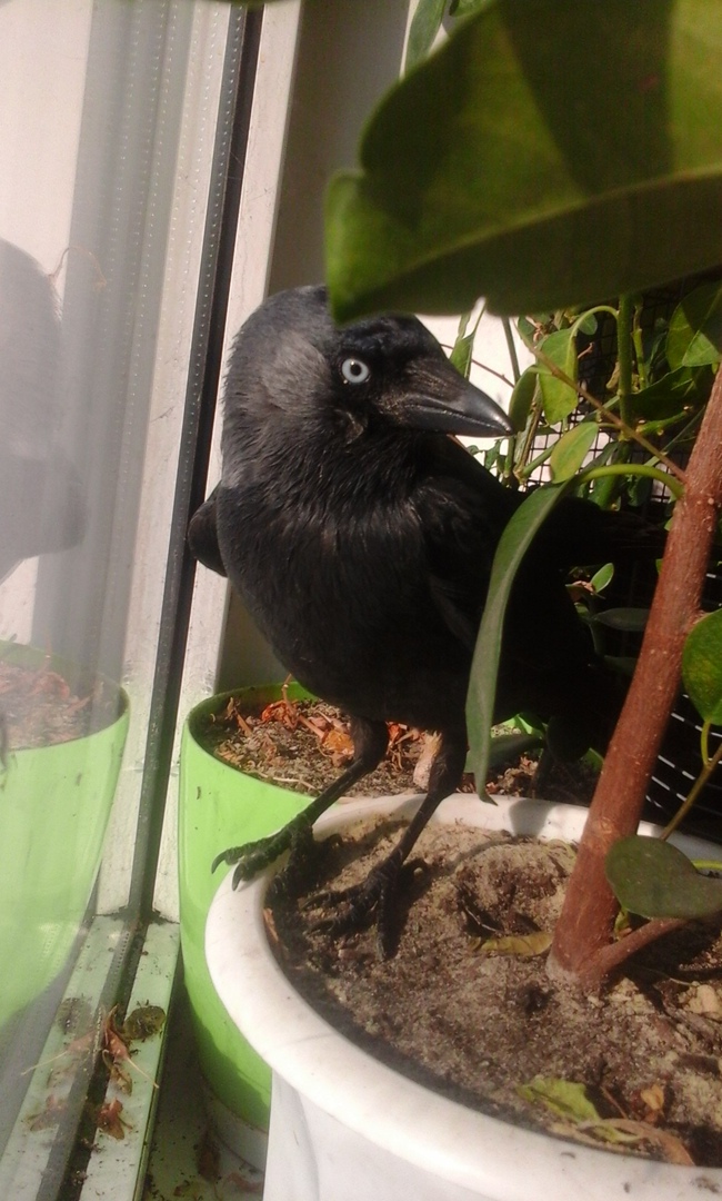 Татьяна Довженко | Харьков