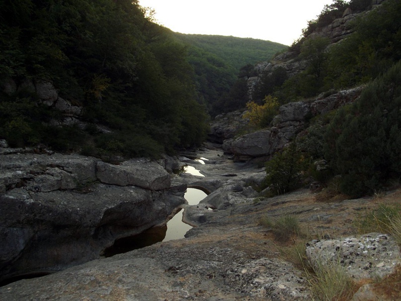 Алёна Антонова | Новая Ялта