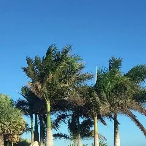 Ирина Бачурина | Москва