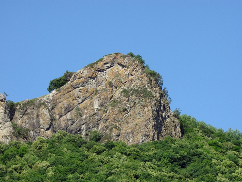 Михаил Крячков | Воронеж