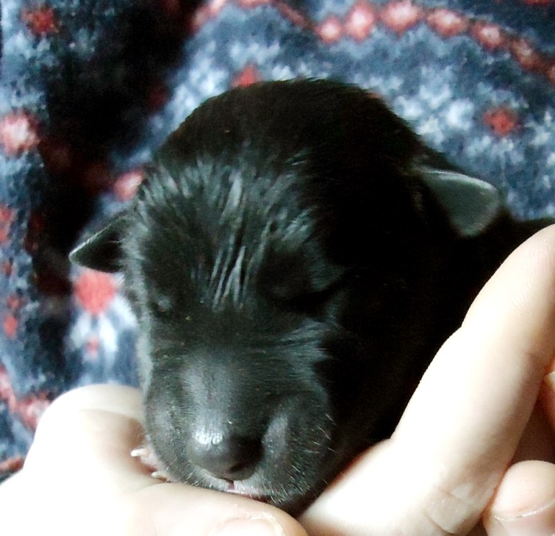 Лена Александрова ♥AL••♥♪ | Санкт-Петербург