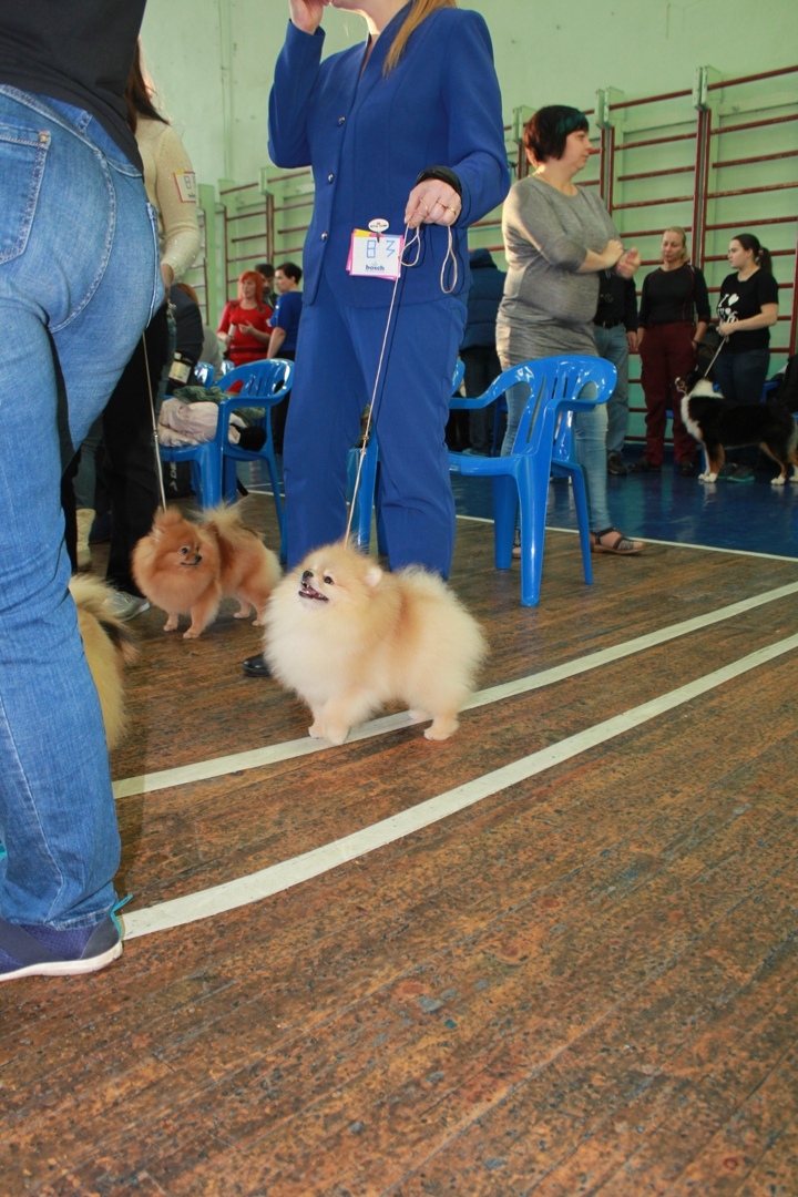 Елена Сотникова | Мурманск