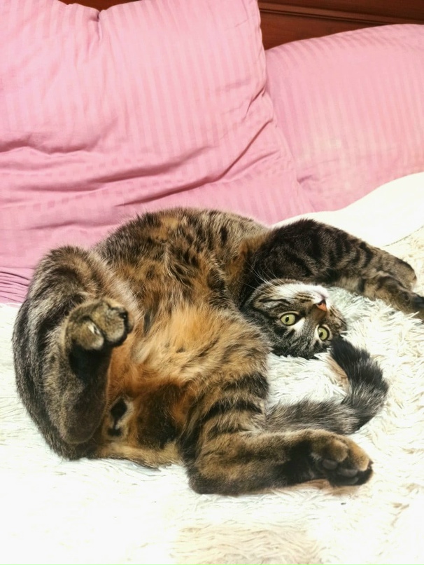 Наталья Метельская | Минск