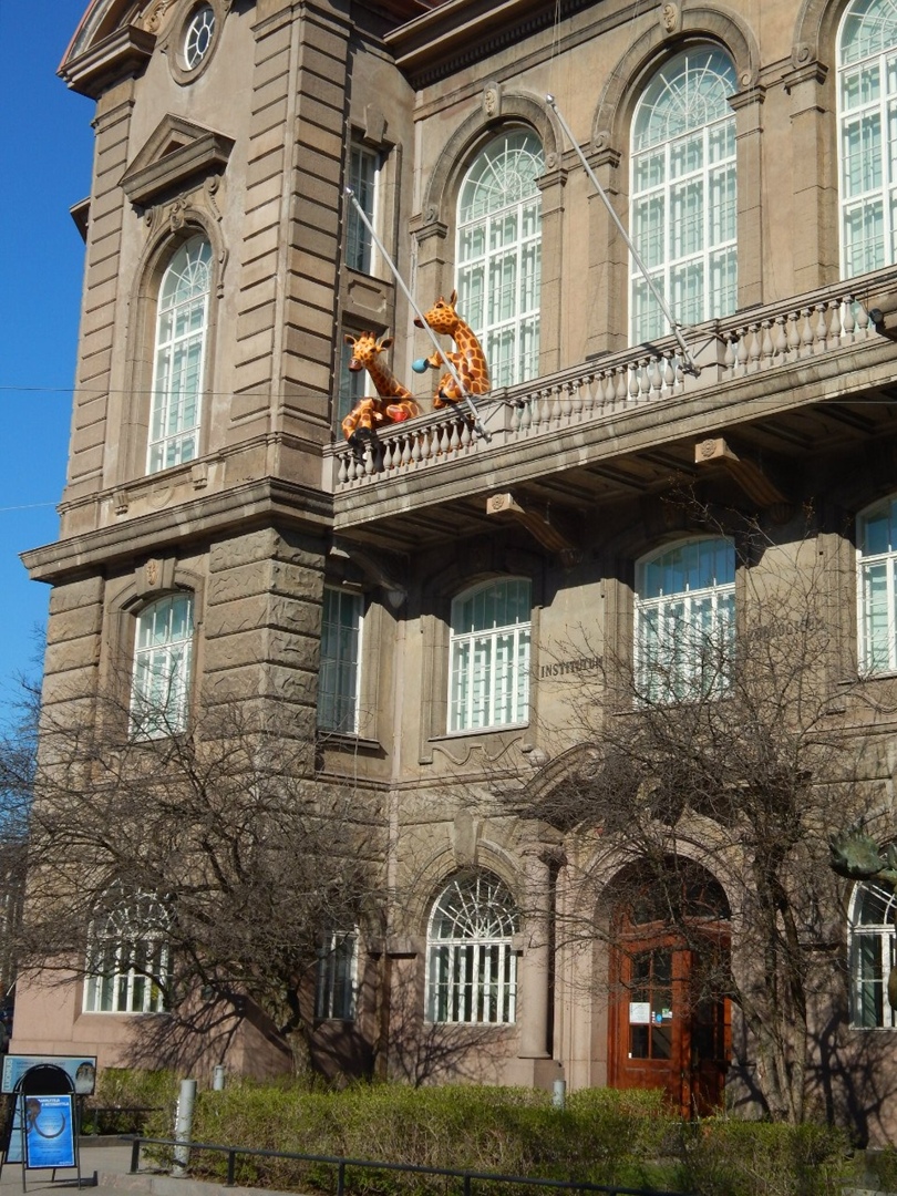 Юлия Савкина ANGEL | Санкт-Петербург