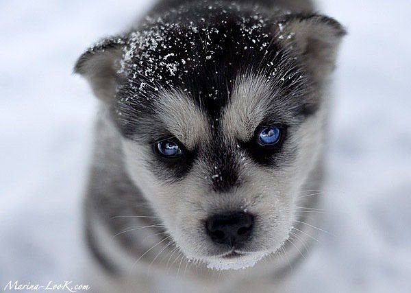 Оксана Швец | Винница