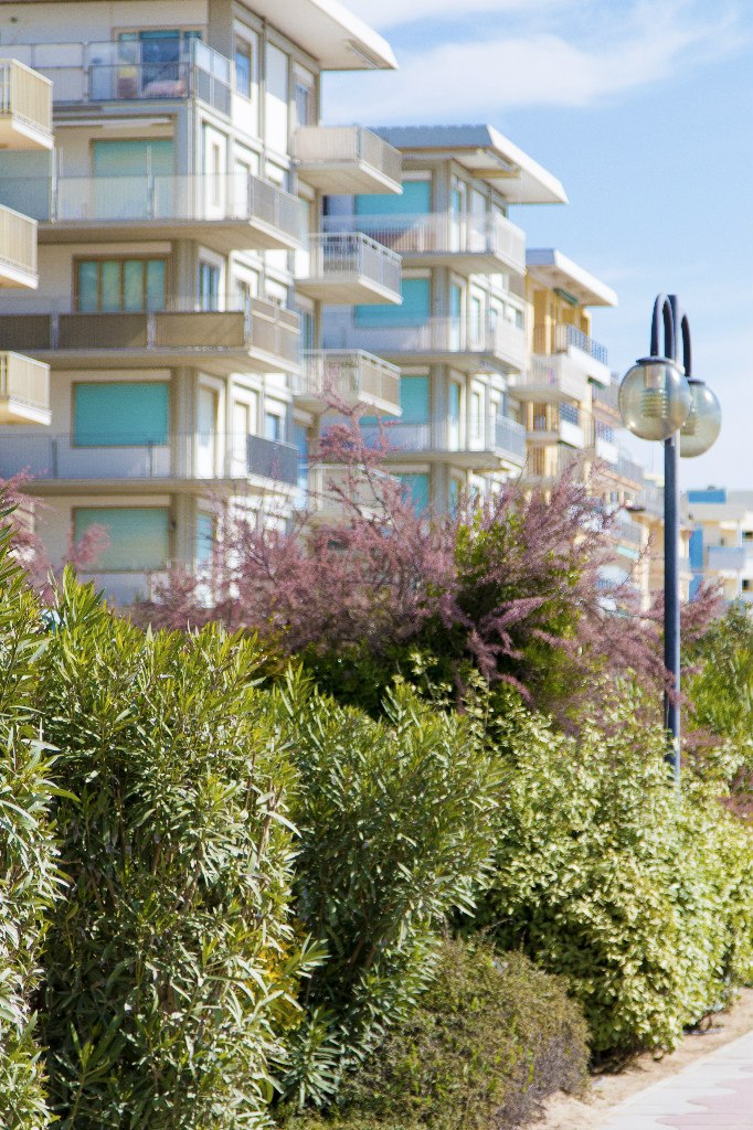 Михаил Лобанов LobMikl | Milano