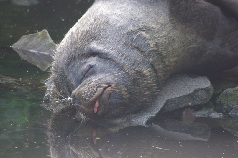 Катя Мельникова | Ayr