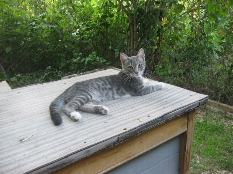 Татьяна Федоренко |