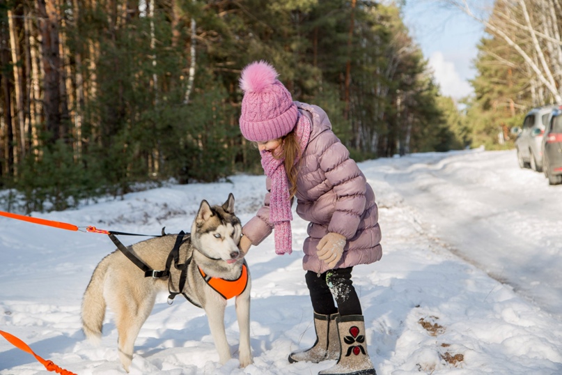 Александр Ляхов | Воронеж
