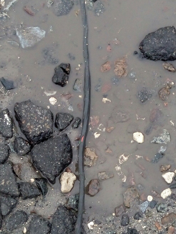 Денис Черепанов | Киев