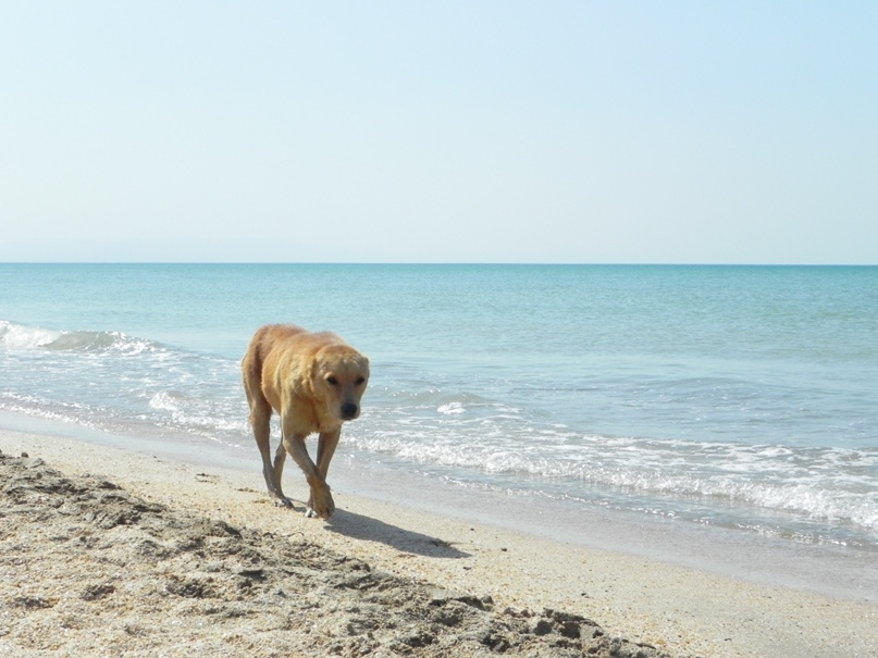 Юлия Акулова | Кемерово