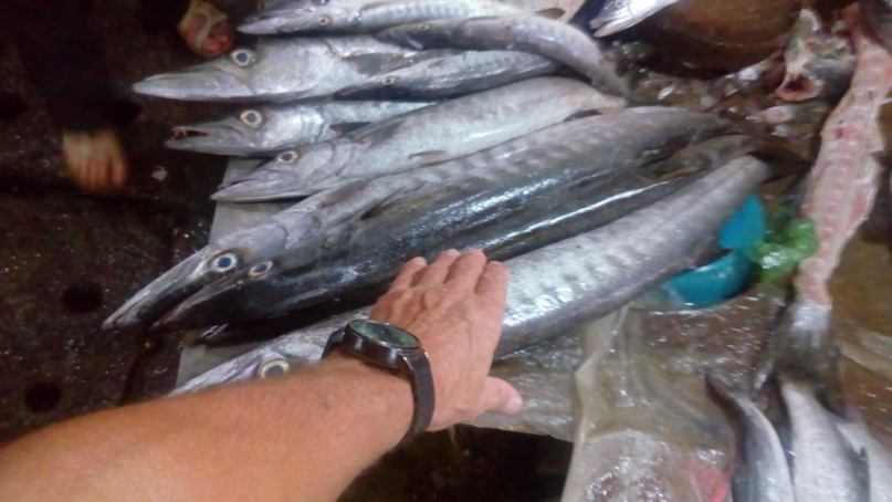 Юра Кириллов | Новосибирск