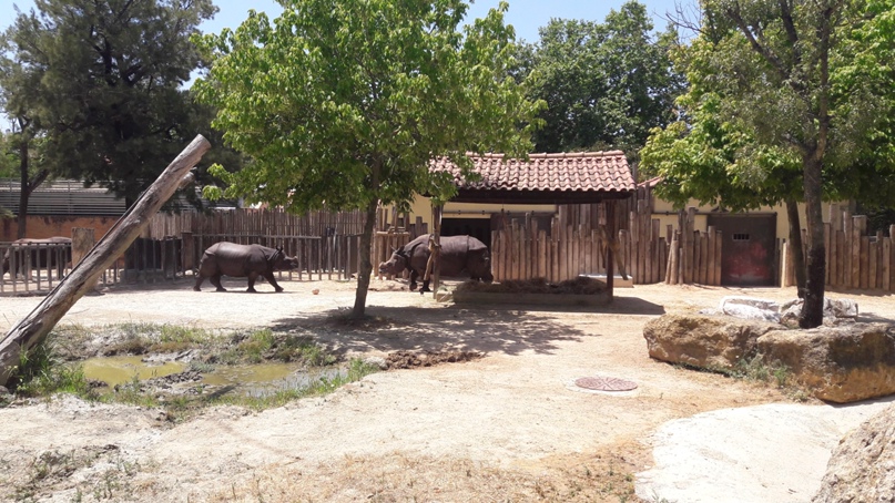 Александра Тихонова | Калининград