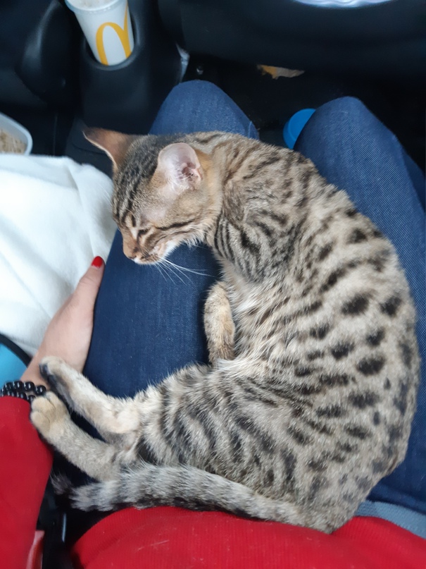 Юлия Кузьмина | Таллин