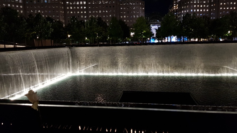 Эльвира Васильева | Тверь