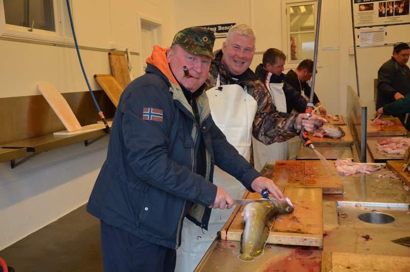 Вадим Синцов | Санкт-Петербург