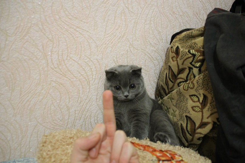 Роман Барышев | Омск