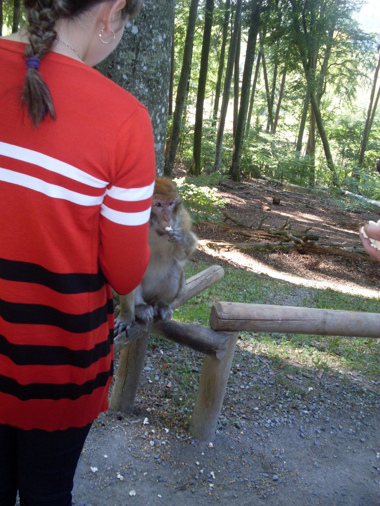 Михаил Федорук | Хабаровск