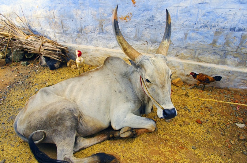 Эльдар Габдуллин | Москва