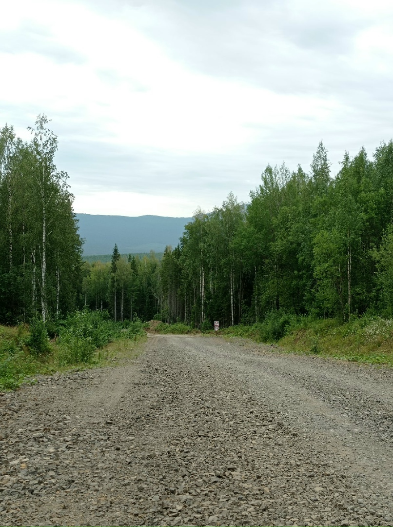 Евгения Цветкова | Сургут