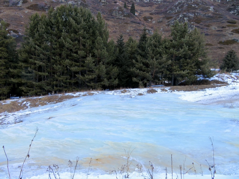 Татьяна Решетникова | Алматы