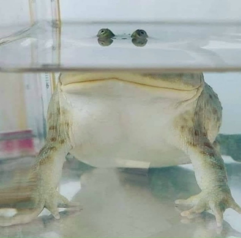 Ольга Смородина † | Троицк