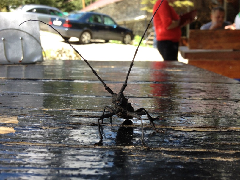 Кирилл Маркин | Москва