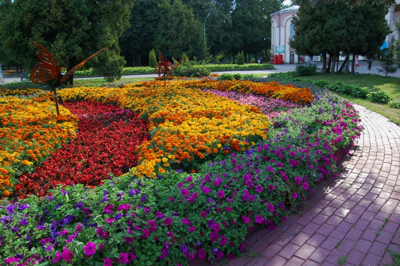 Юлия Симонова | Смоленск