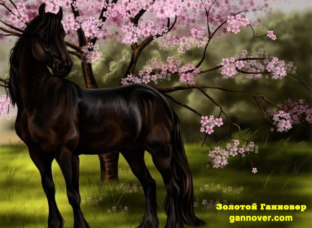 Наталия Седова *Серафим* | Черкассы