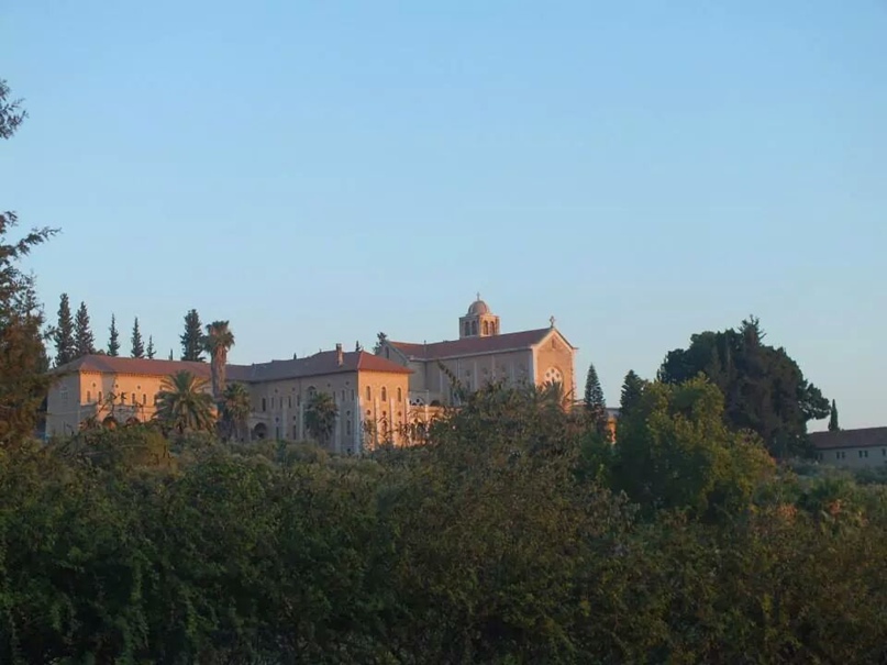 Александра Данилова | Holon