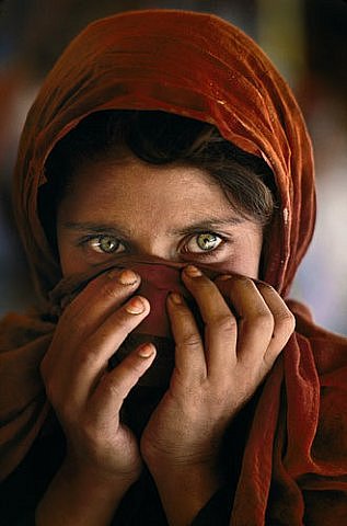 Александр Андриевский | Львов