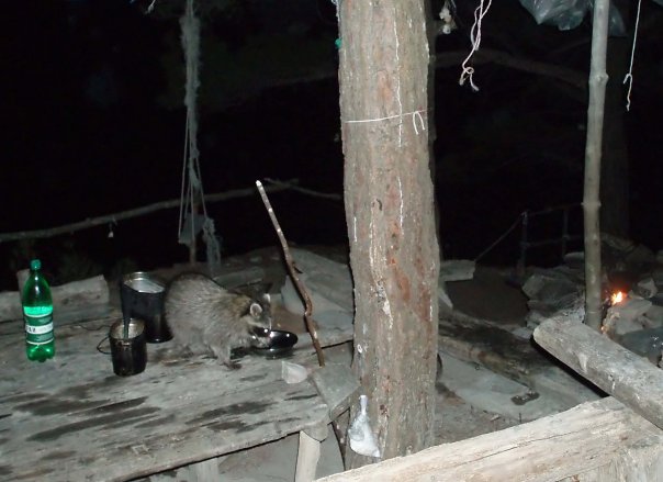 Олег Елизаров | Москва