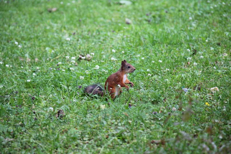 Александр Залога 爱-ALE}{mix-爱 | Москва