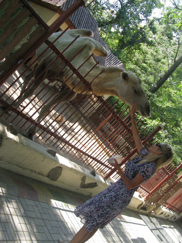 Татьяна Ботыгина | Санкт-Петербург