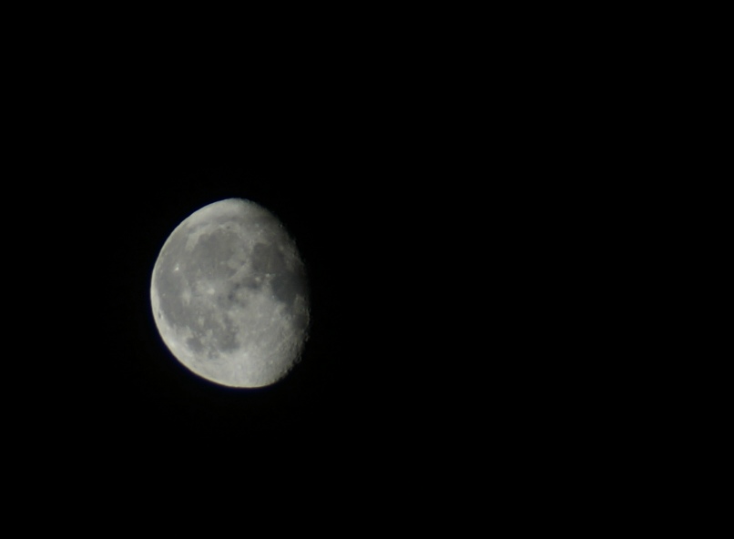 Тимур Сафин | Магнитогорск