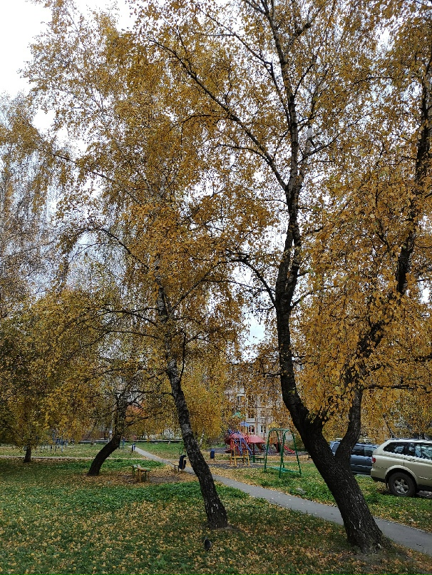 Андрей Соловьев | Тула